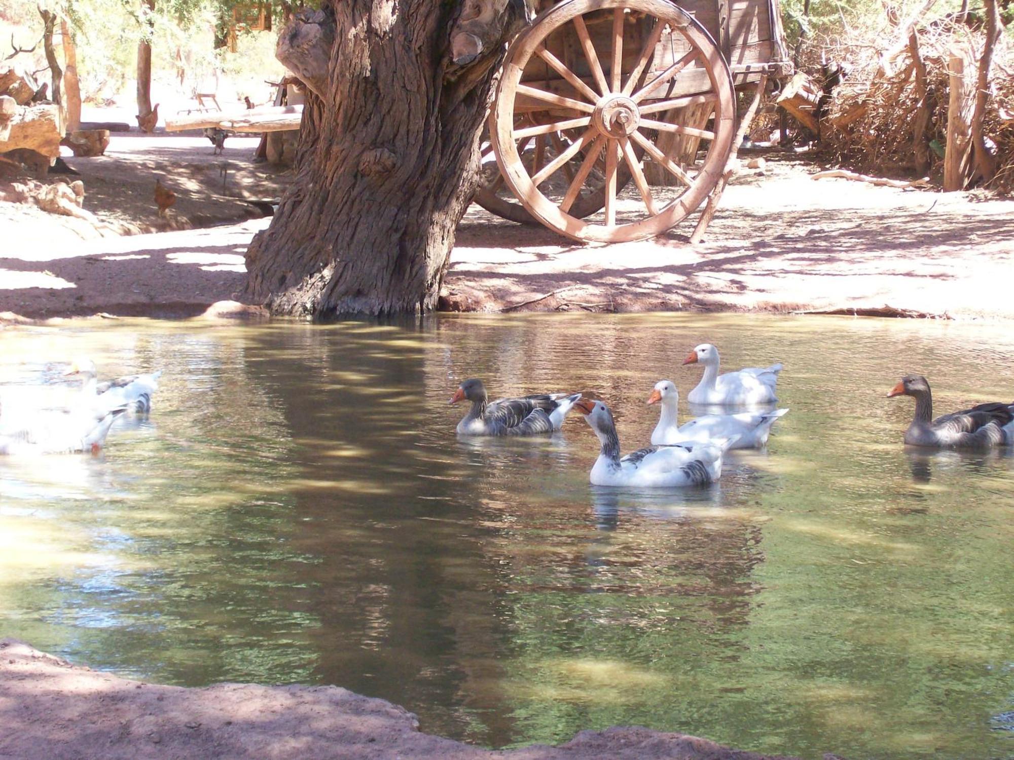 Vieja Posada Hotel Historico Cafayate Exteriér fotografie