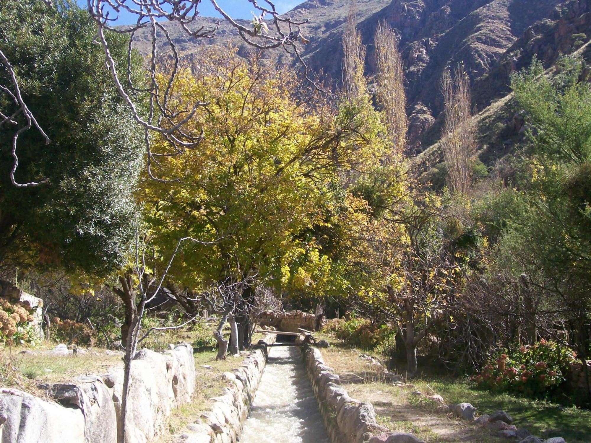 Vieja Posada Hotel Historico Cafayate Exteriér fotografie