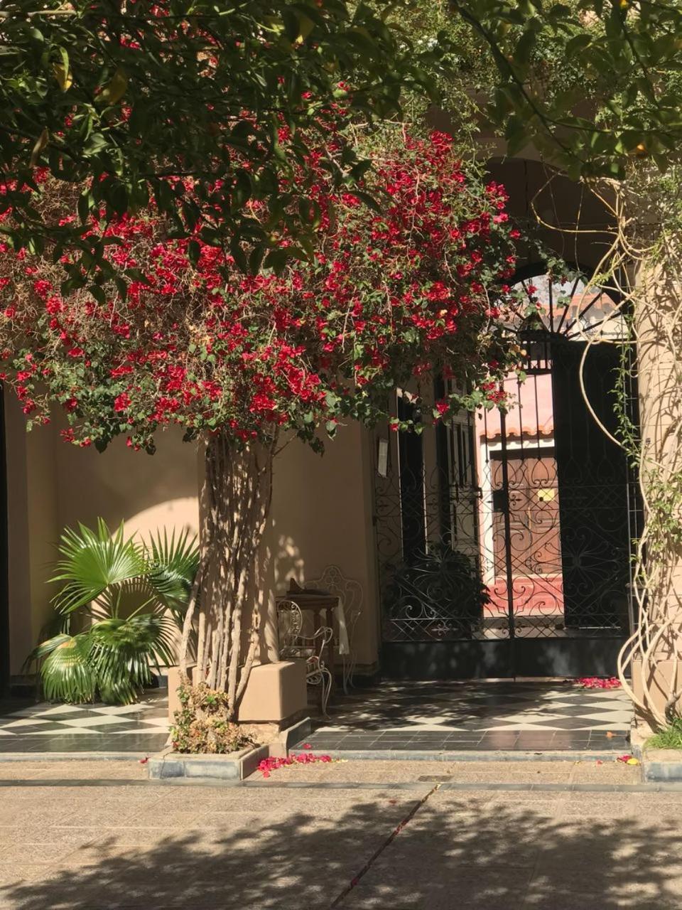 Vieja Posada Hotel Historico Cafayate Exteriér fotografie